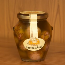 lampascioni